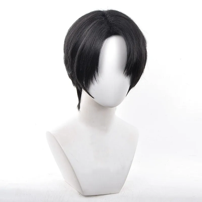 Wholesale Levi Ackerman Wig Cosplay 30cm Short Black Straight Attack on Titan Anime Peluca Synthetic Halloween Party Hair Wig