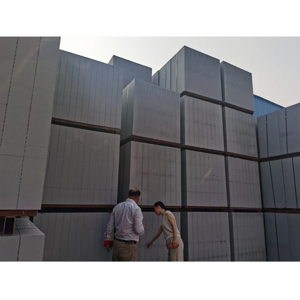 AAC gas block machine 50M3  70M3 per day manufacturer plant in  Uz Kz Russia