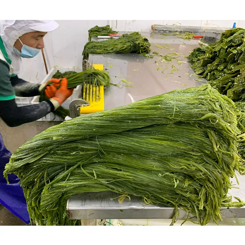 Factory Supply High Quality Chuka Wakame Raw Material Frozen Salted Seaweed Wakame
