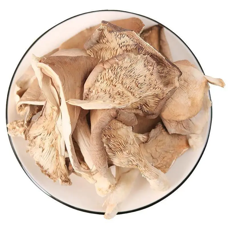 Wholesale price High Quality Dried oyster Mushroom