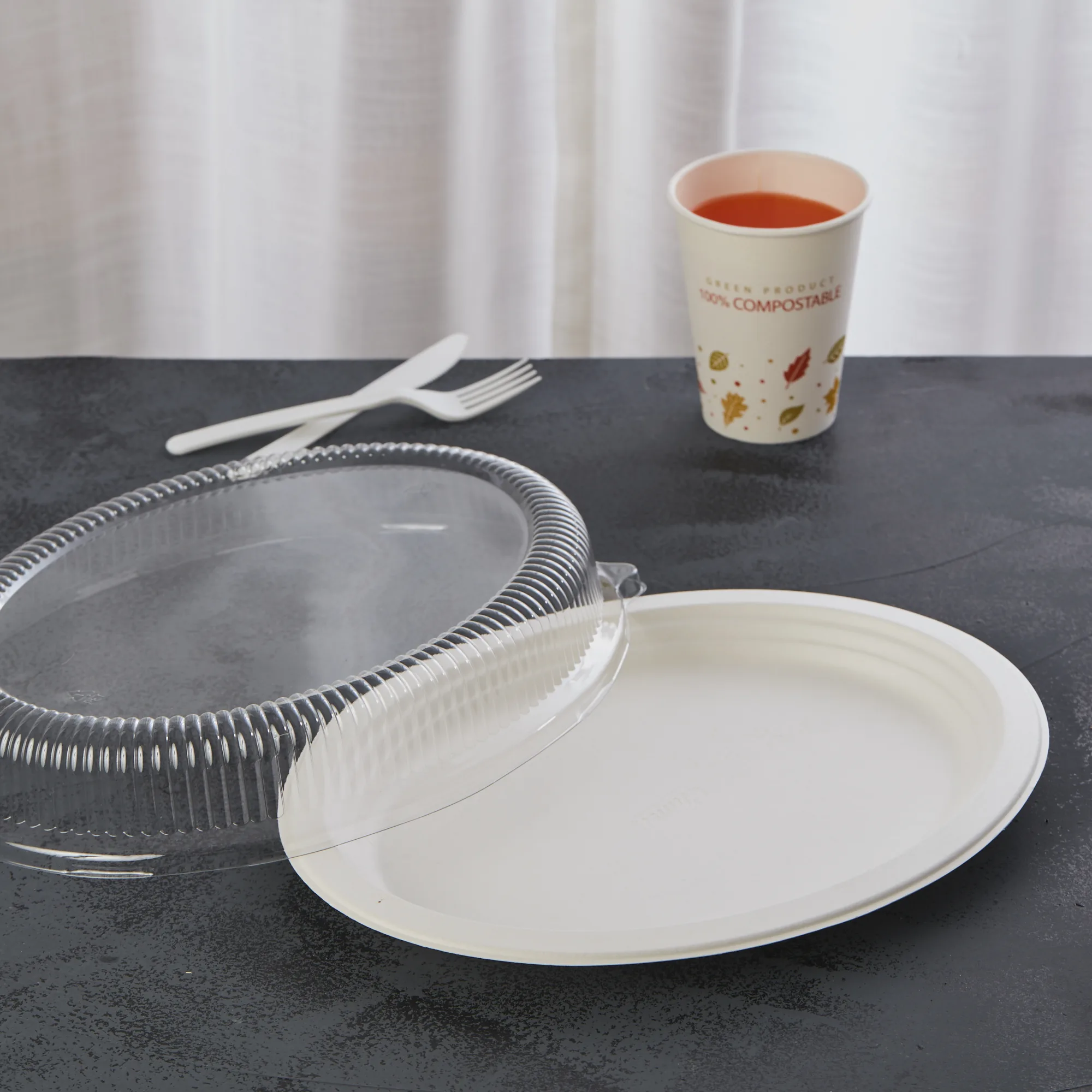 Disposable Paper  Hot And Cold Customization Plate Set Eco Friendly Dishes