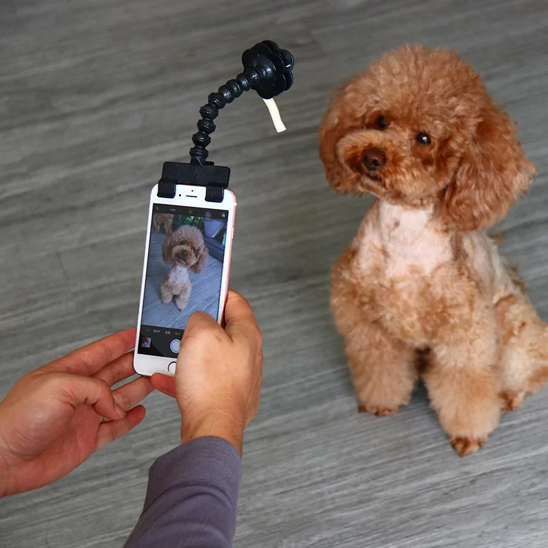 
Hefei SY Manufacturer Wholesale OEM custom logo dog cat pet selfie stick toy 