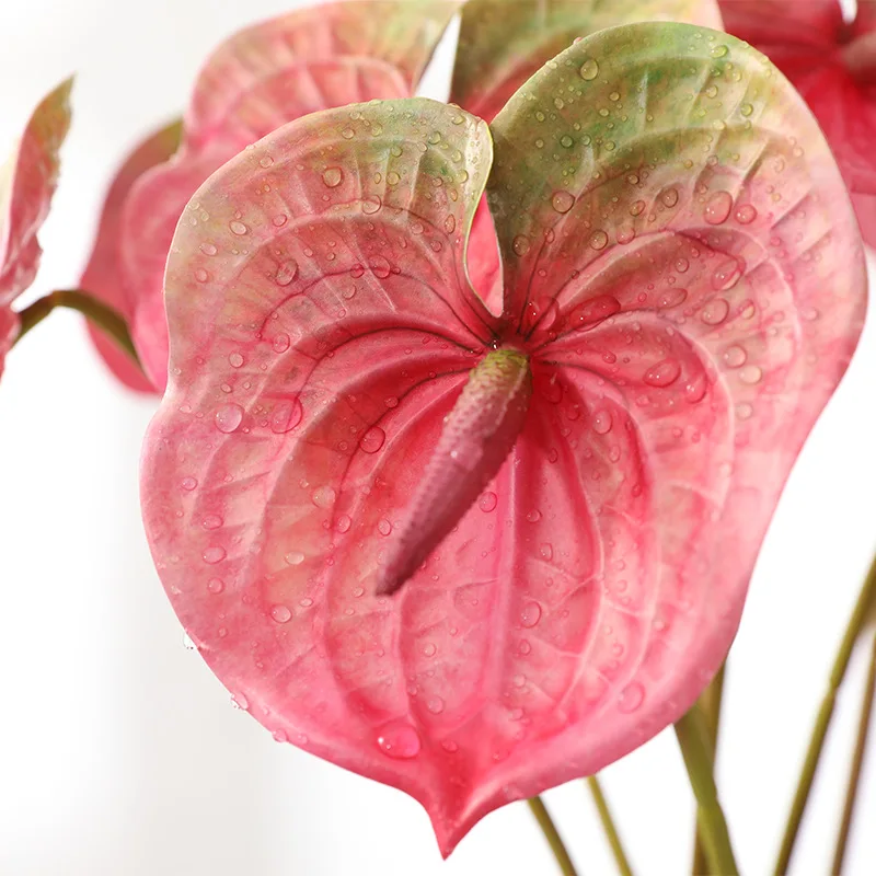 Factory Directly Sale Hand Feel Eva Single Stem Pink Small Plant 3d Print Pu Large Anthurium Artificial Flower Plant Pot
