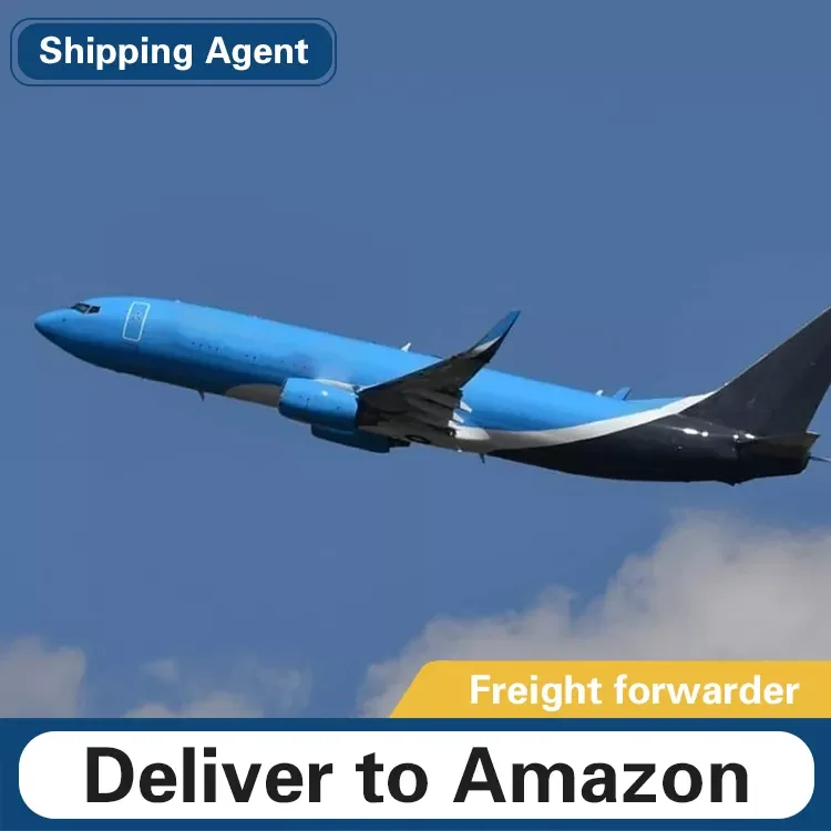 DDP/DDU forwarder Sea Freight china to pakistan/usa USD/RMB agency