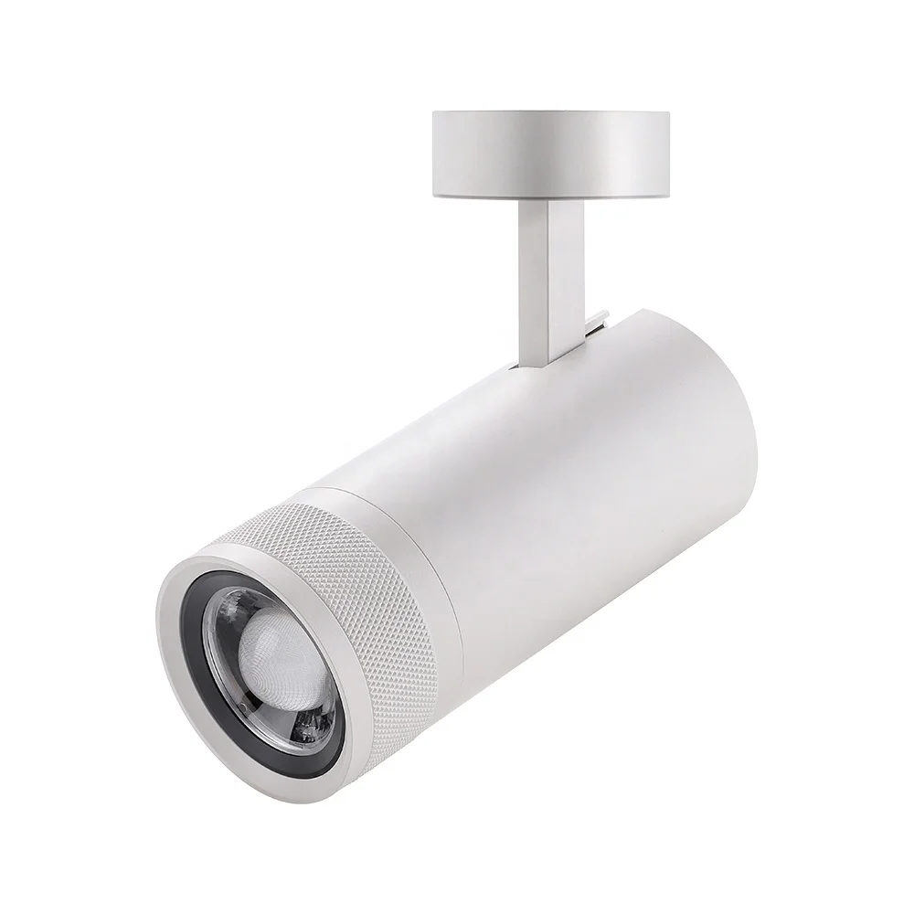 20w White LED Smart Track Light Zigbee Round Shape Museum Lighting Spotlights Surface Mounted Black LED COB Track Light