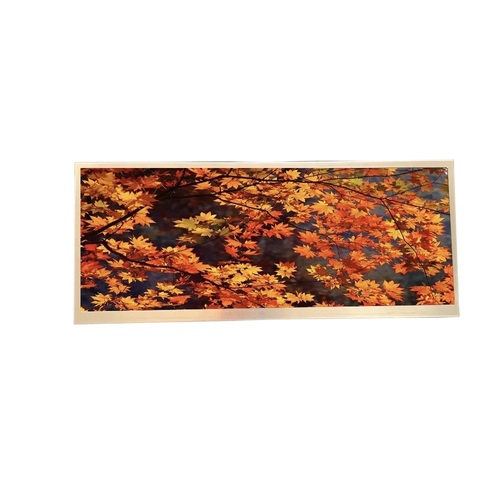 
AUO 1920*720 C123HAN01.1 tft lcd bar lcd 12.3