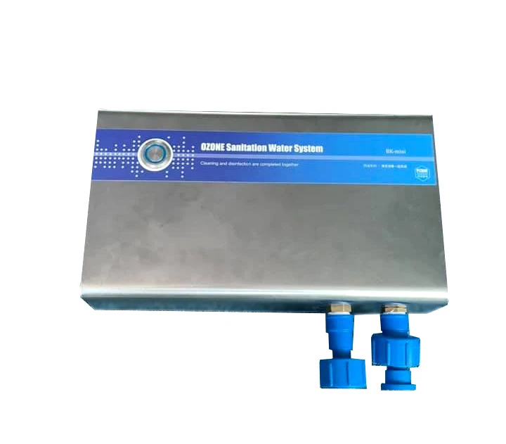 2g/h ozone generator ozone water purifier for kitchen washing machine laundry washer fruit washing system