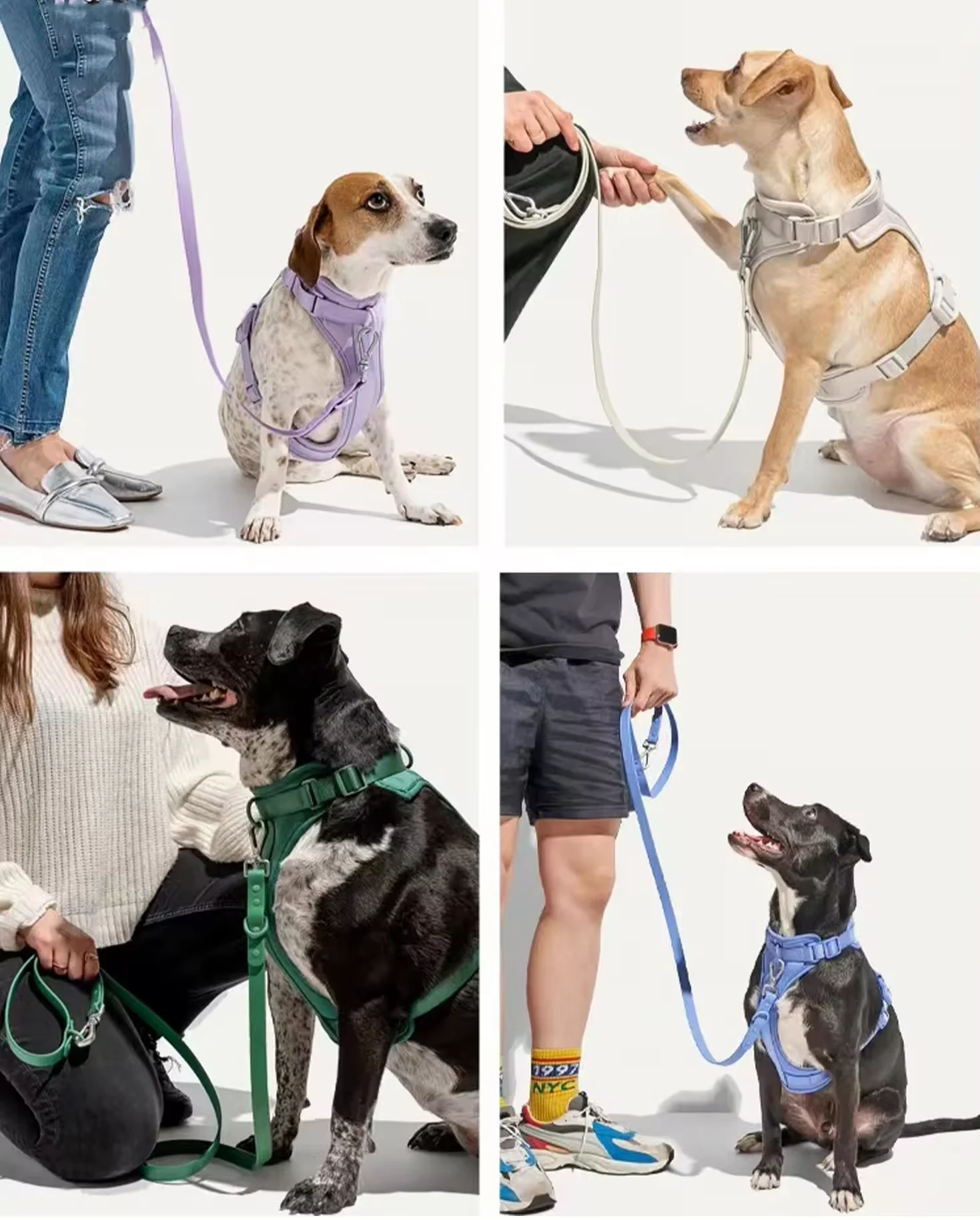 Custom Logo Luxury Dog Collar Pet Walk Kit Leashes Adjustable Waterproof Neoprene Soft PVC Silicone Dog Harness and Leash Set