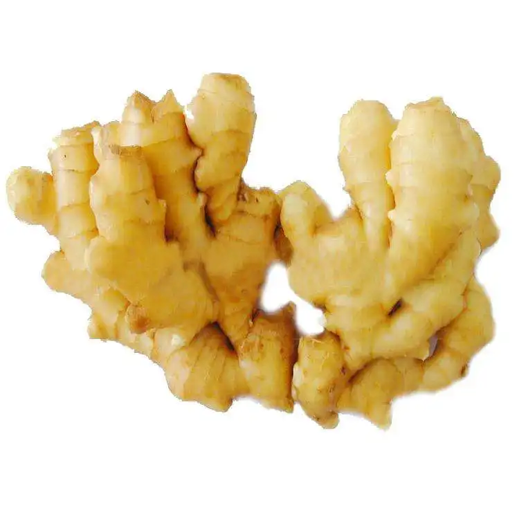 China wholesale GAP new Fresh Ginger