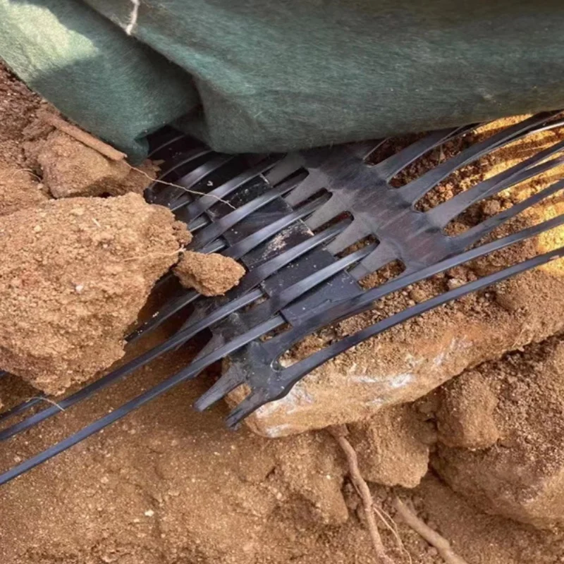 Geogrid Playground Pp Biaxial geogrid Road Roll For Roads And Railways From China