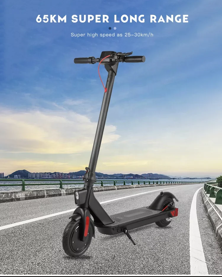 Coasta Dual 350W brushless motor 20AH 48V 17.5 kg Aluminum app control foldable e electric scooter coasta L9 Pro