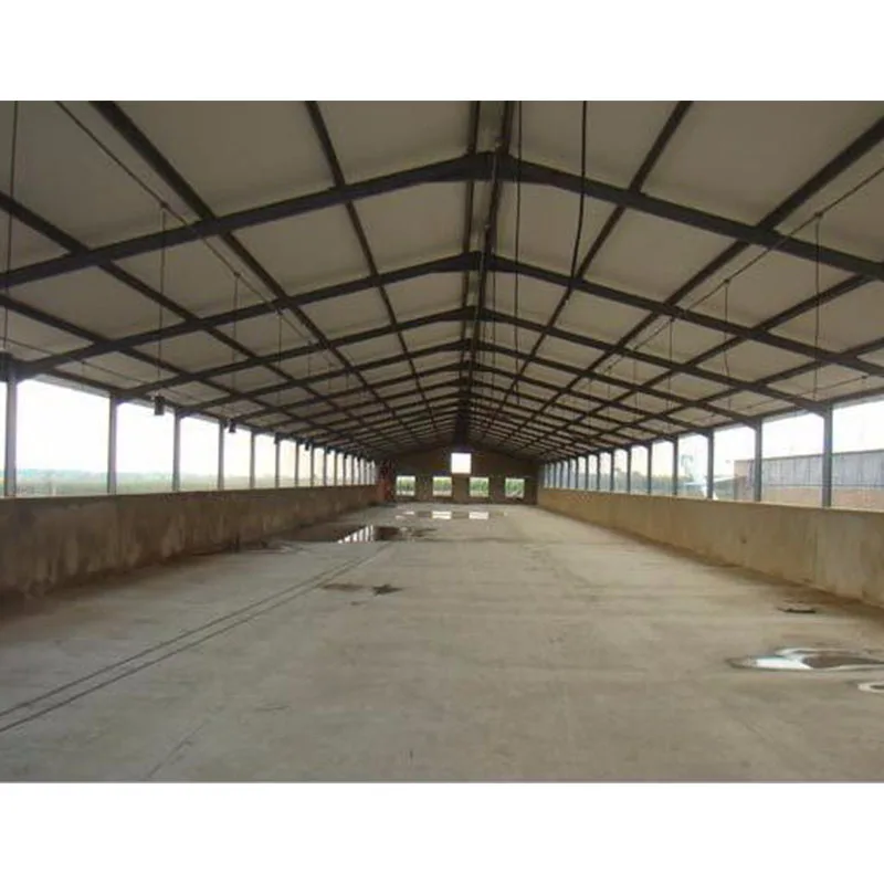 Конструкция из стали для фермы бройлеров птицефабрик строительный куриный домик