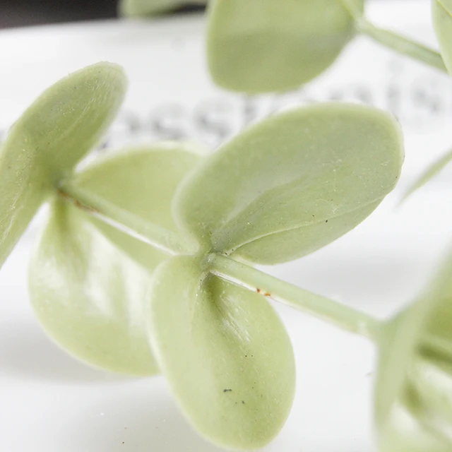 factory supply Natural dried flower Eucalyptus leaves Home decoration DIY low price amazon hot sale preserved flower