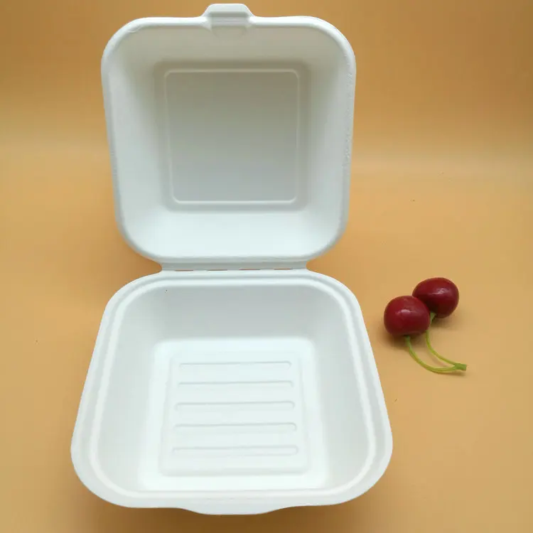 
biodegradable sugarcane pulp 6