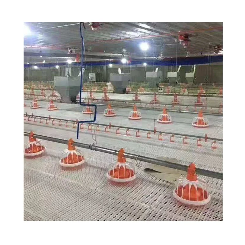Automatic Full set Modern Poultry Farm equipment for Chicken Broiler with Feeding and Watering System
