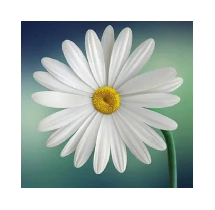 Le-19   Little Fresh Home Art Decoration Diamond Embroidery