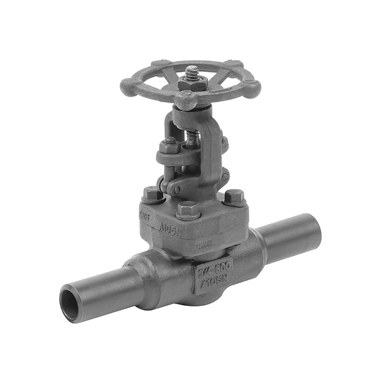 
800LB 3/4' Long welded short pipe Forged carbon gate valve at both ends 