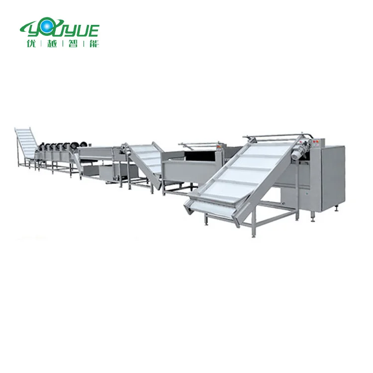 Economical Custom Design Frozen Fruit And Vegetable Production Line Machines Line Production