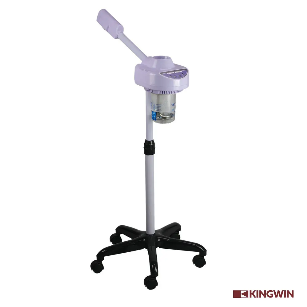 Cheap facial steamer