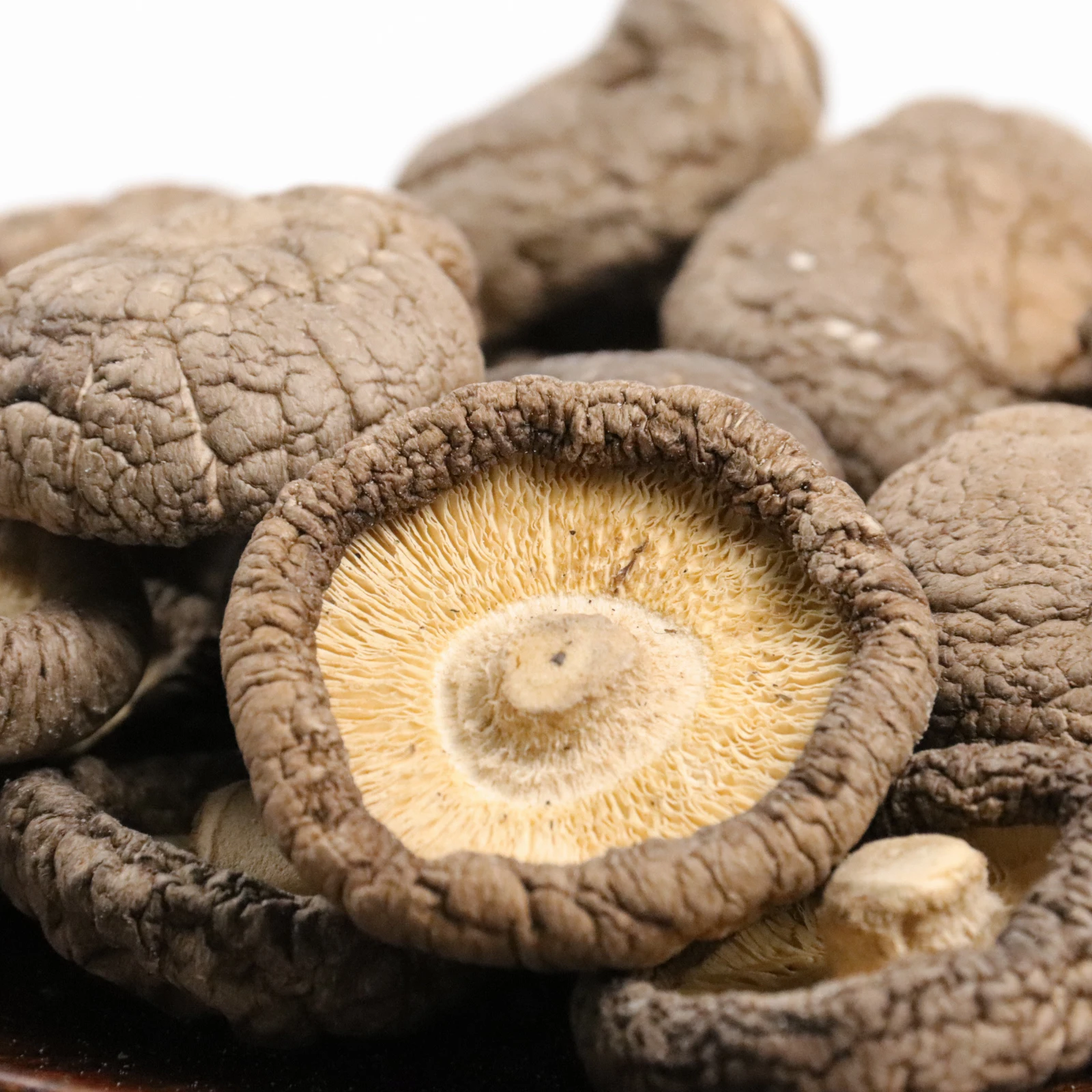 Highly Dried Mushrooms Raw Edible Shiitake Mushroom