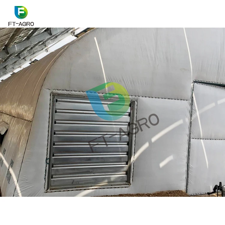 High Quality Light Deprivation PO Film Greenhouse for Mushroom Growing