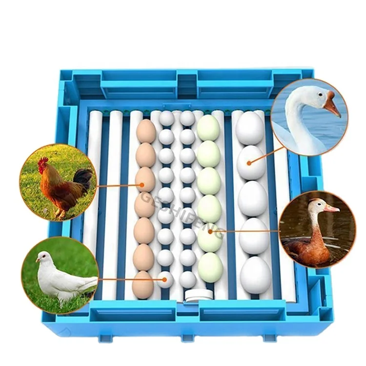 Fully Auto 98% Hatching Rate 48 64 Eggs Automatic Poultry Chicken Egg Incubator