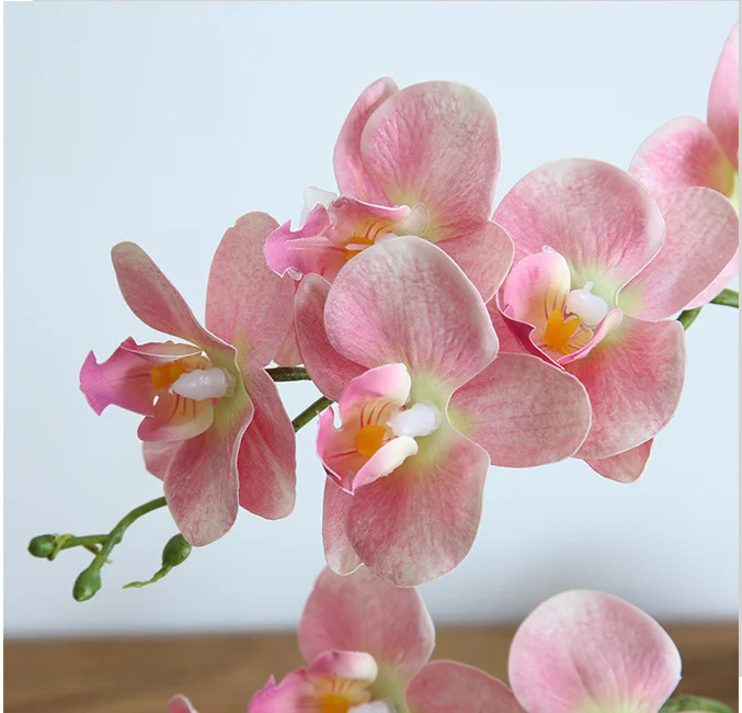 Fantastic Quality Modern Phalaenopsis Orchids Artificial Flower Artificial Phalaenopsis