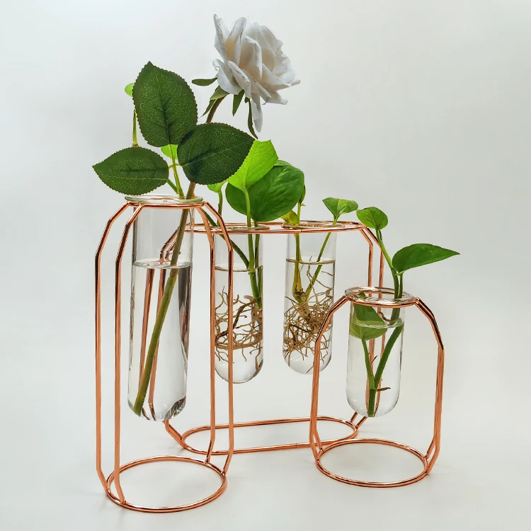 Hydroponic Plant Vases Desktop Glass Planter Bulb Vase with Metal Holder, Plant Glass Terrarium for Hydroponics Plants