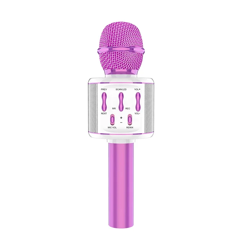 Factory OEM Portable Home Theater Karaoke Bluetooth Speaker With Surround Sound System Mini Wireless Microphone For KTV