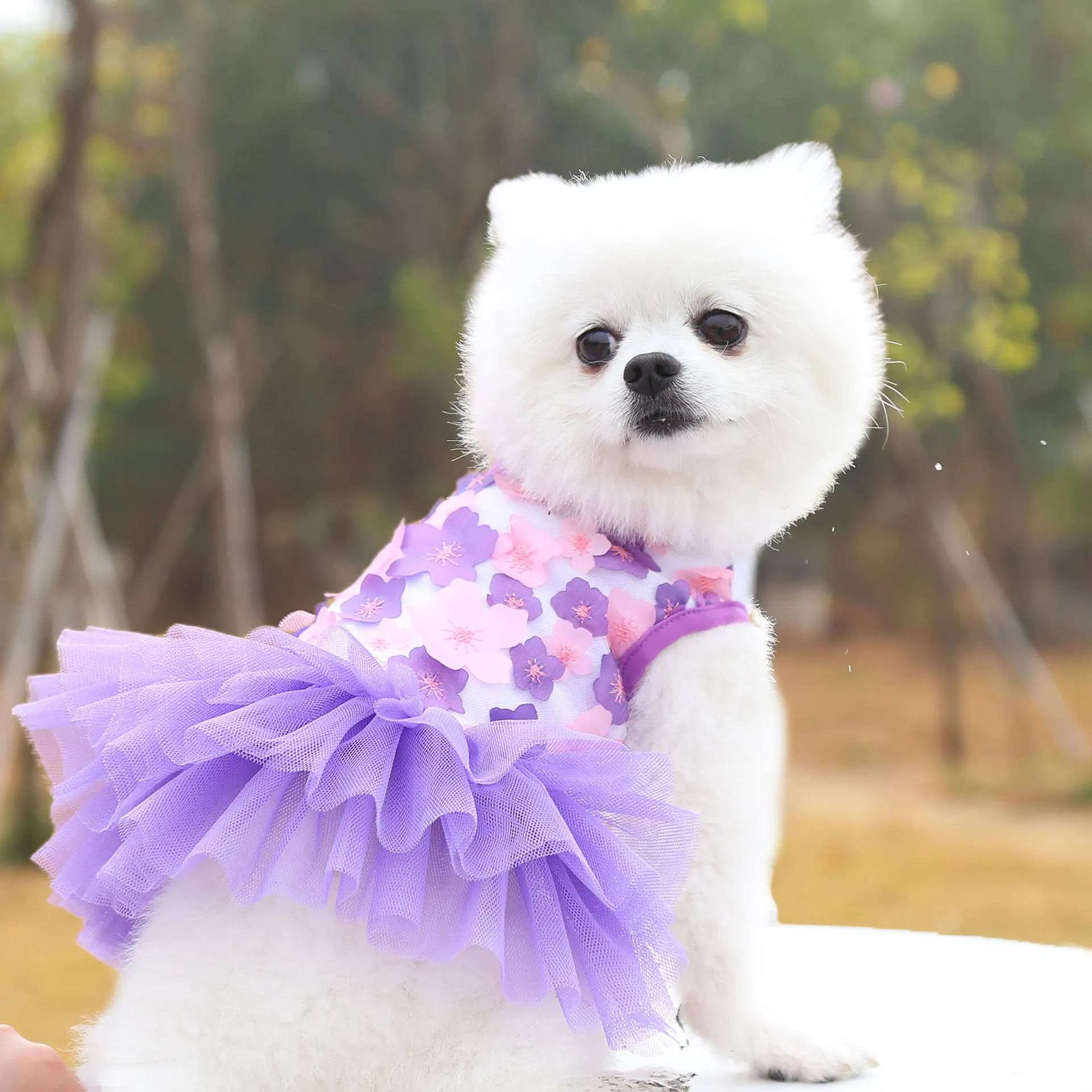 Pet dog skirt cat clothes spring and summer pet clothes Teddy Bichon pet supplies peach blossom skirt Cotton
