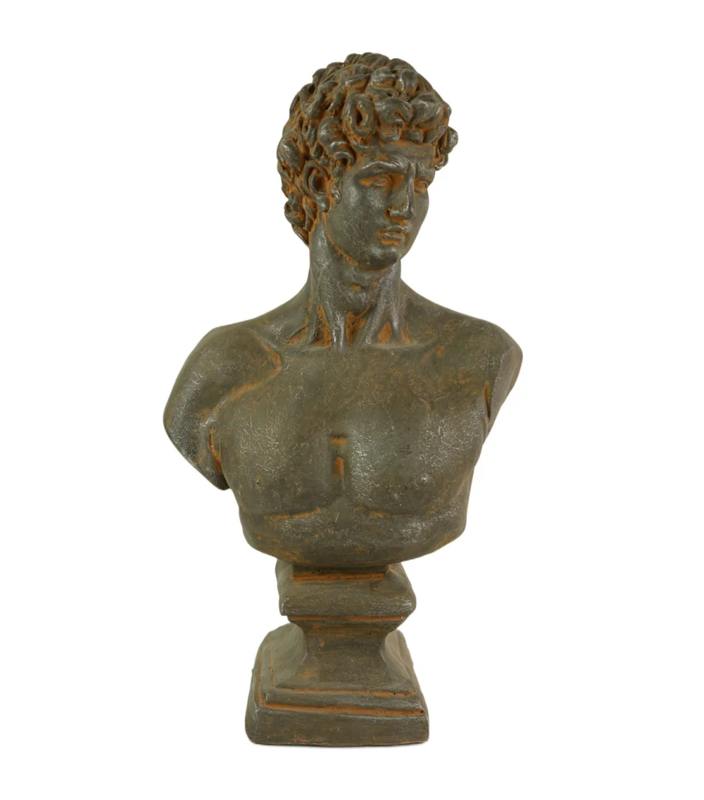 Nordic David Head Portraits Greek Mythology MGO Bust And Statue MGO Figurines Of Greek Mythological Figures