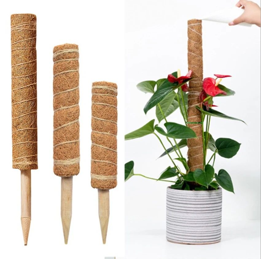 12/14/16 inches Coir Totem Pole, Coir Moss Stick Coir Moss Totem Coconut Sticks for Plant Support Extension