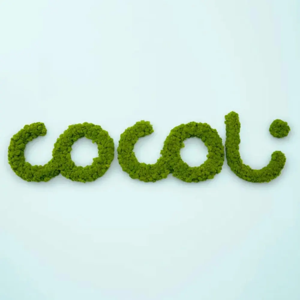 Custom 3D LED Letter Sign Stainless Steel Moss Letters for Home/Office Wall Logo Decoration Channel Letters Sign