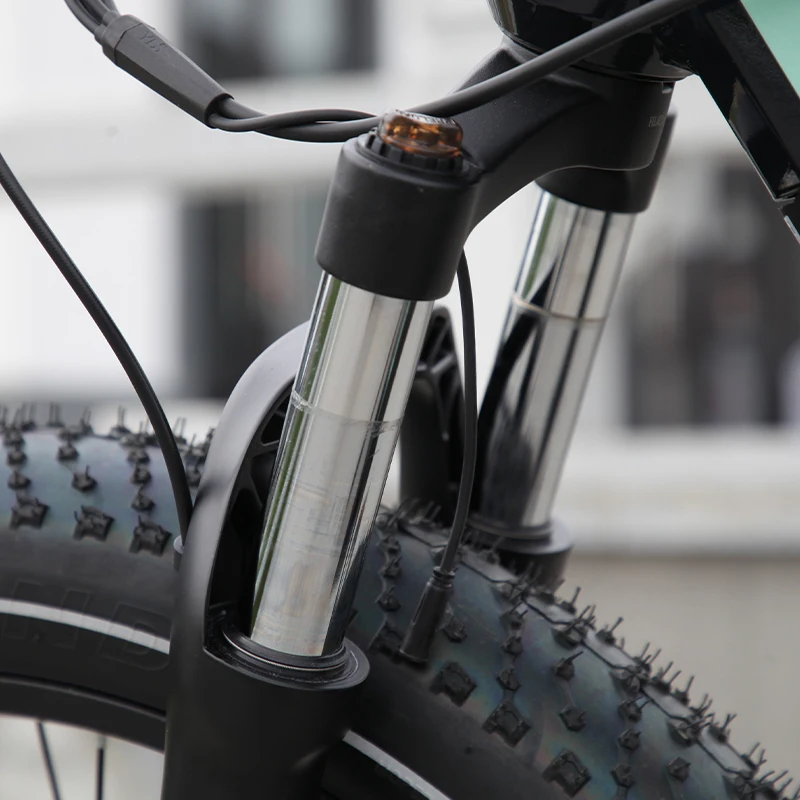 Customized 750w1000w fat tire customized dual battery electric bike electric mountain bike full suspension 52v e bikes