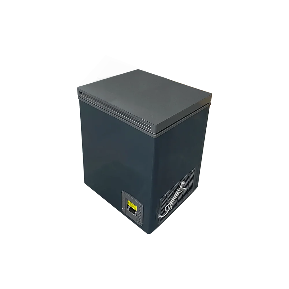 -60C New Style 110L Home Low Working Noise Ultra Low Temperature Chest Freezer DW-60W110