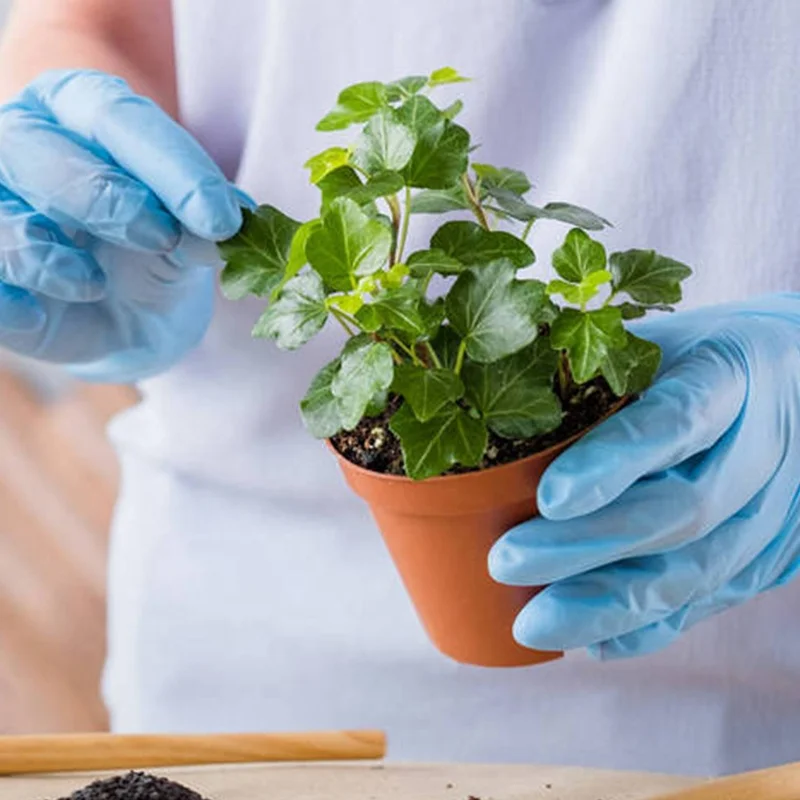 100 PCS Box Nitrile Gloves Finger Texture Anti-slip Gloves Waterproof Disposable Nitrile Hand Gloves Powder Free for Gardening