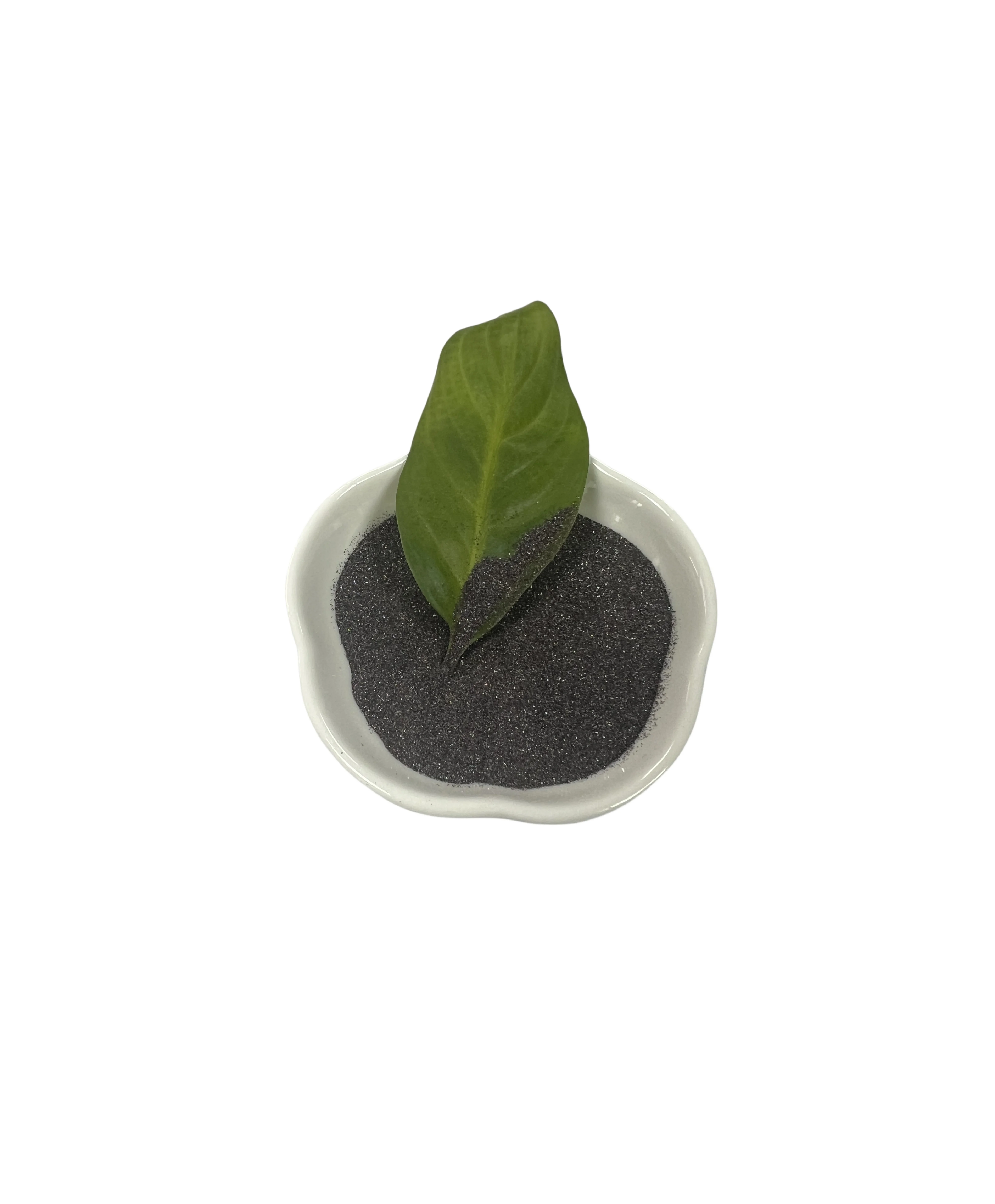 natural  Rutile Sand origin Australia  high-quality TiO2>95% for welding electrode