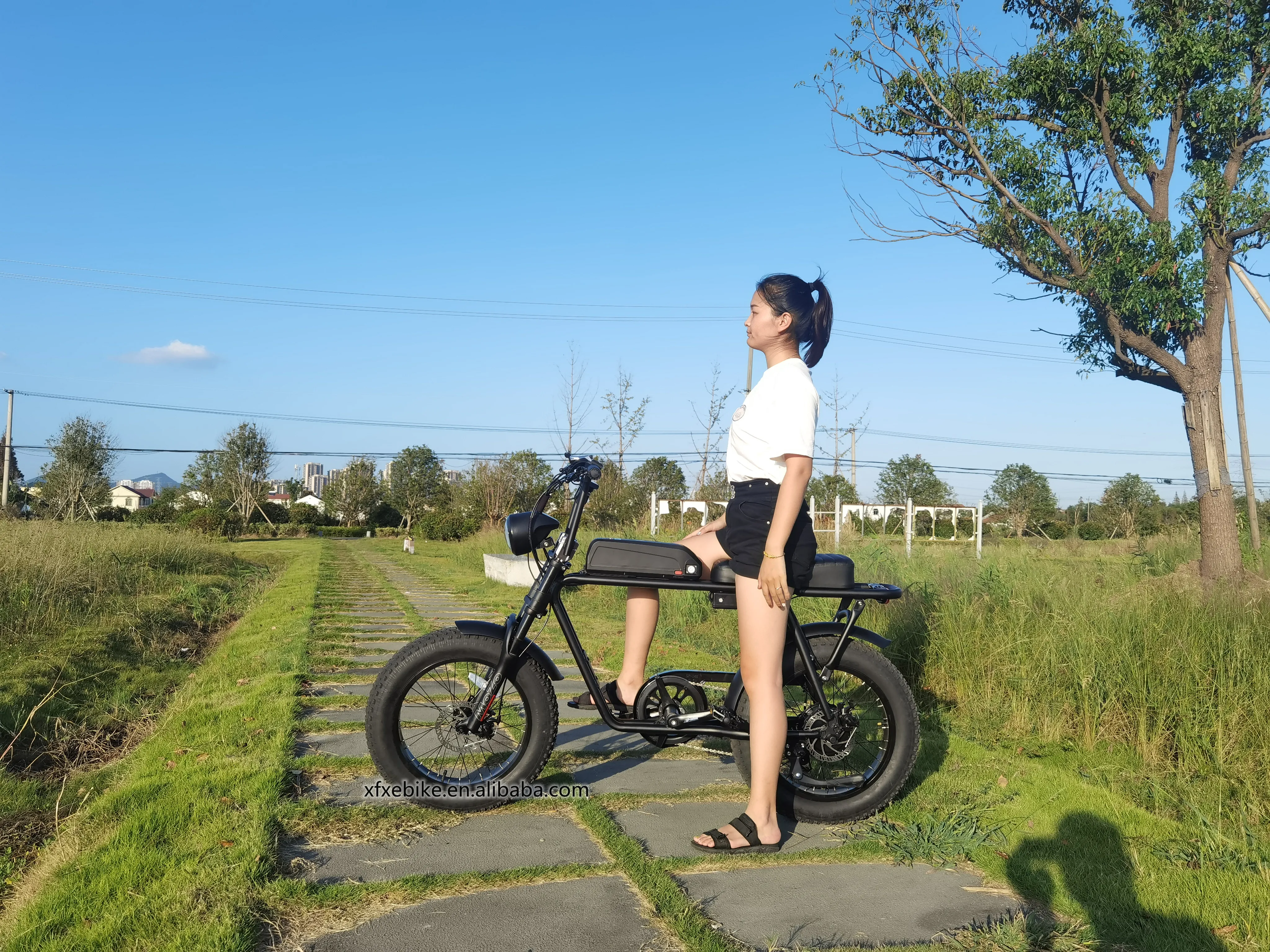 Fast Delivery 20Inch Electric Fat Tire Bike 750W Bafang Rear Motor Snow Beach Super Ebike Electric Bicycles 73