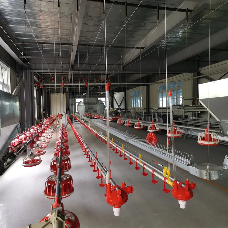 JG Steel structure cowshed, chicken house, breeding plant, ventilation and warmth