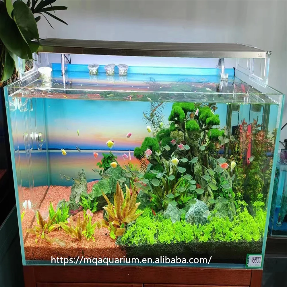 Natural drift bonsai Brazil tree branche roots driftwood aquarium wood for Aquascaping