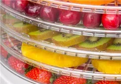 5 trays food and fruit dehydrator machine for sale