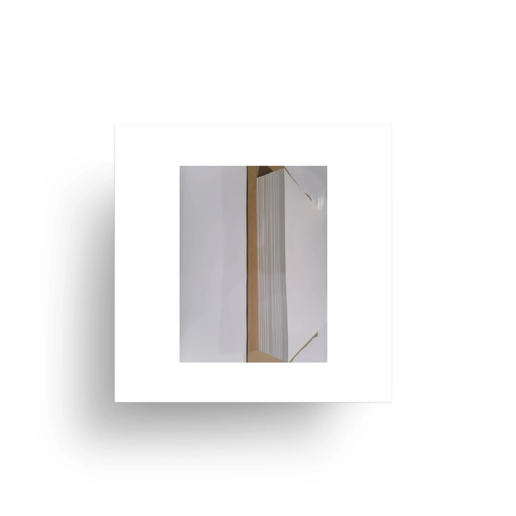 Manufacturer Supplier Sheet Waterproof Pigment-Based Polypropylene Composite PP Synthetic Paper