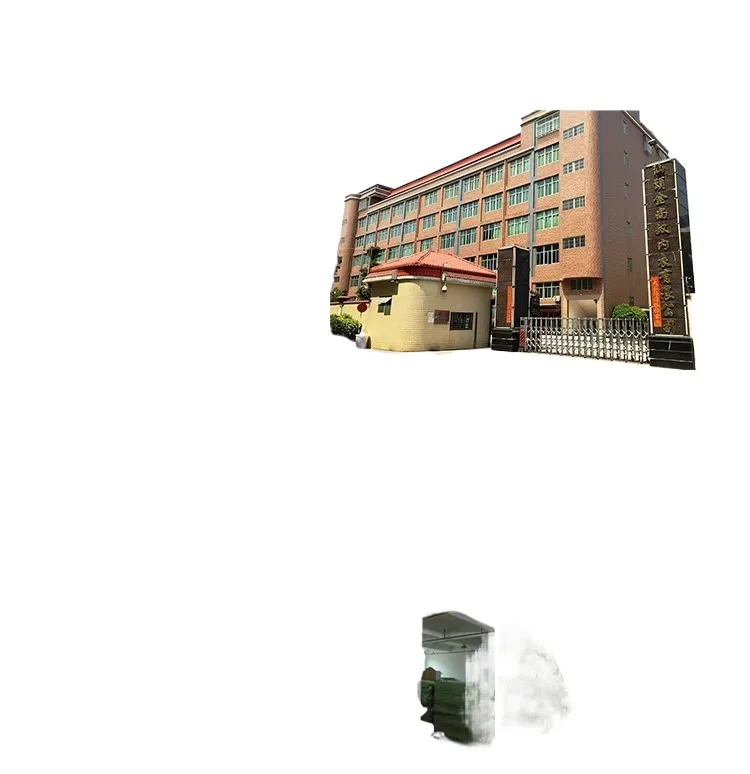 Charming One-piece Girl Mid-waist Multicolor Breathable Underwear Thong Panties for Women