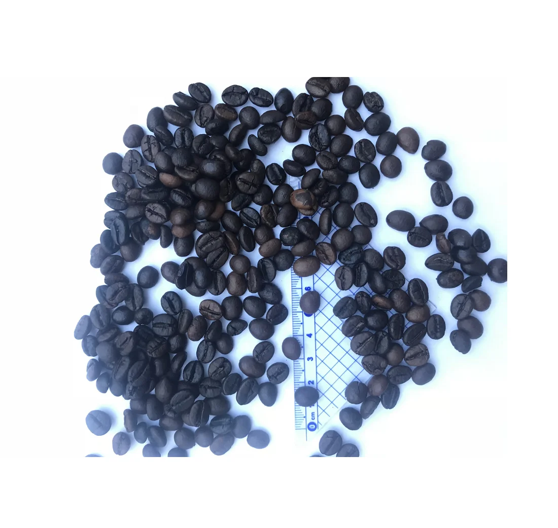 Roasted Robusta Coffee Bean Vietnam Wholesaler