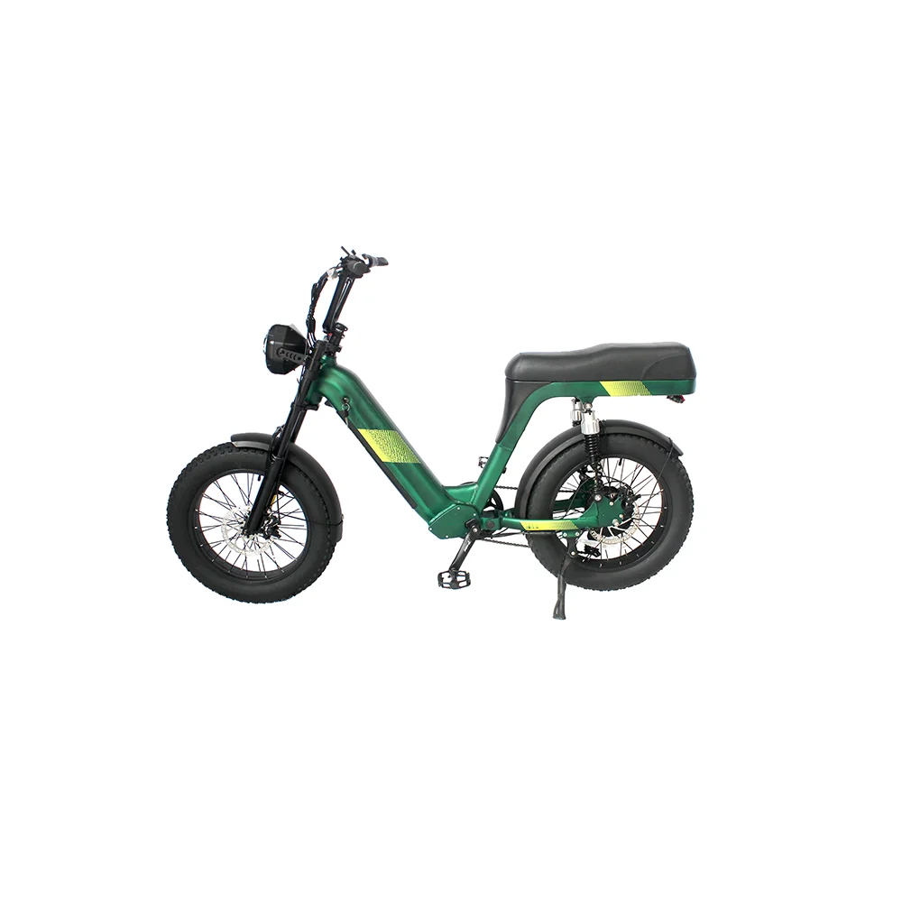 High Grade 20 Inch Electr Fat Tire Bike Electrical Bicycle Bicicletas Electric City Mountain Street Bike