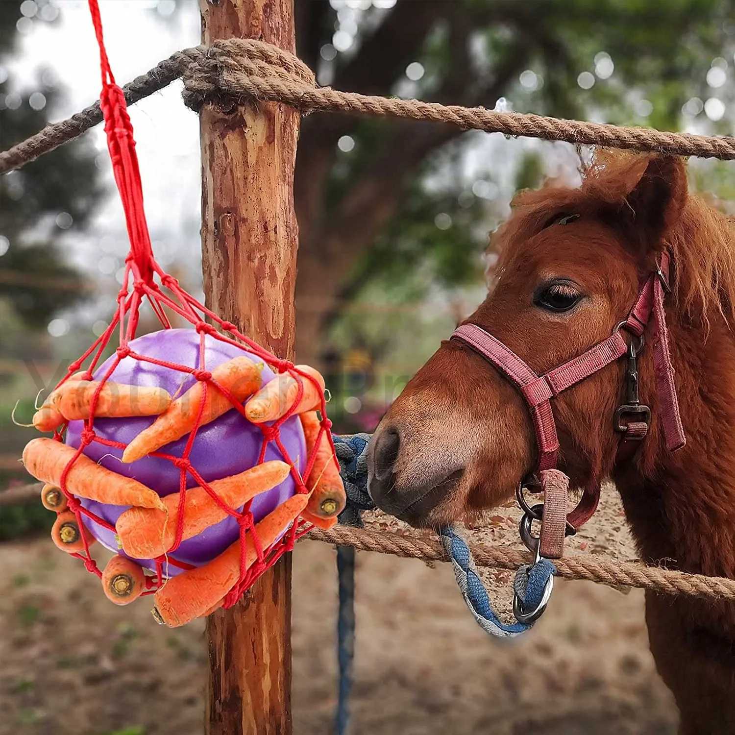 Bestseller Factory HotSale Horse Treat Ball Hay Feeder Toy Ball Hanging Feeding Toy Horse Horse Goat Sheep Relieve Stress