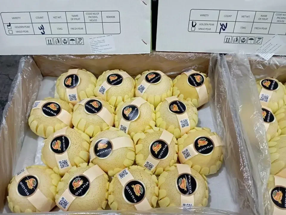 New Season Fresh Fruit Fengshui Pear Golden Pear With Good Taste