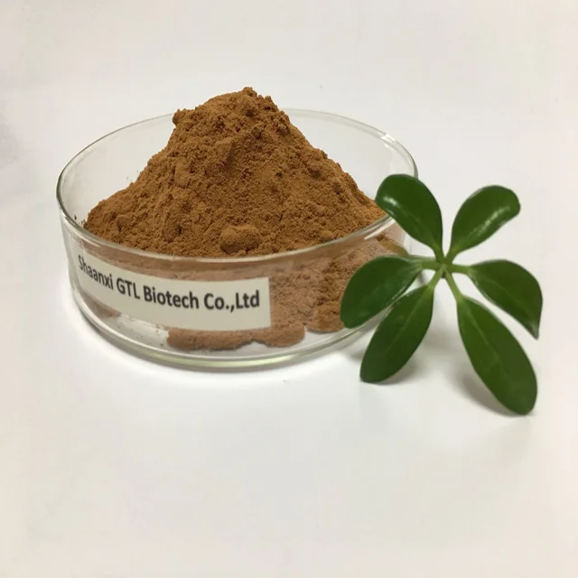 
Manufacturer Supply Lions Mane Extract Powder 30% Polysaccharide 