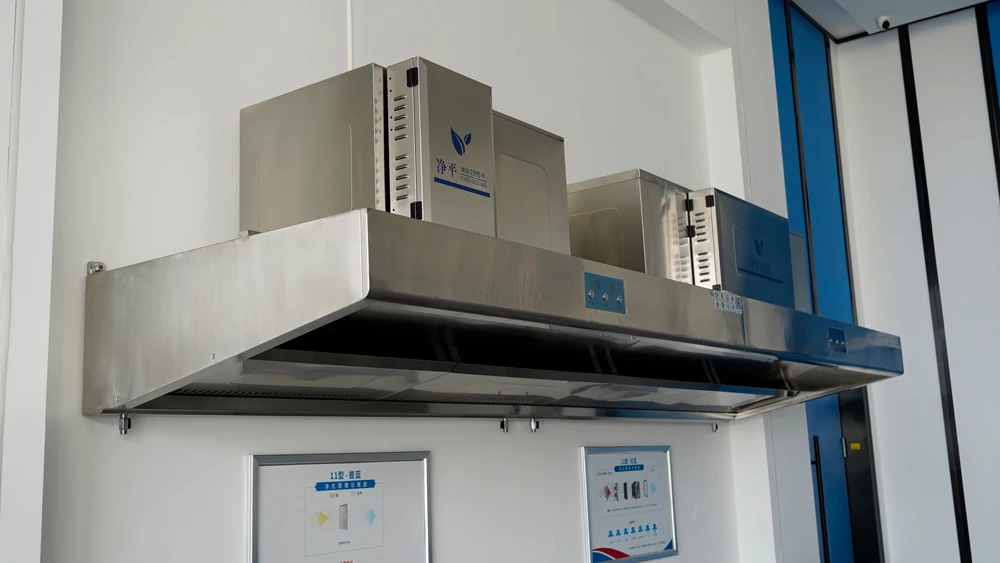 Jingping DongLan Stainless Steel Commercial Kitchen Smoke Extractor