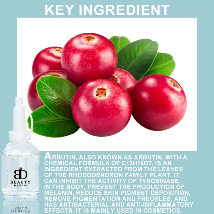 OEM Factory Alpha Arbutin 100% Pure Stoste Beta Arbutin Extract Face Serum Skin Whitening Brightening Arbutin Serum For Women